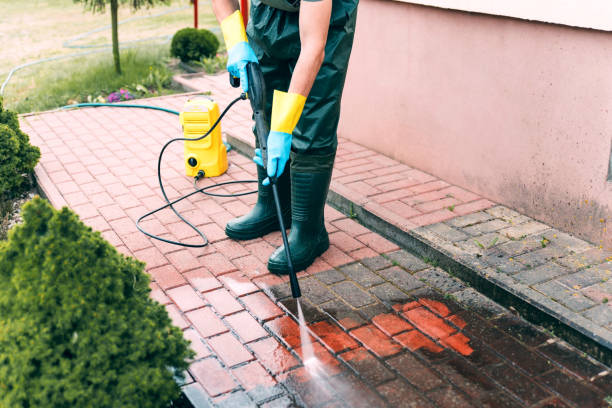 Animal Enclosure Cleaning in Churchill, MT